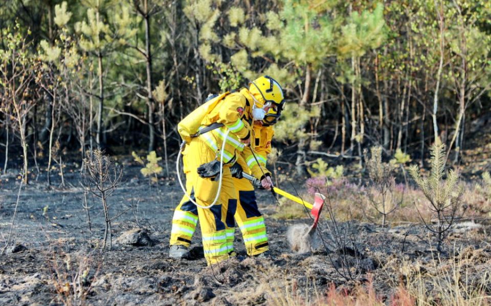 brandweermensen bezig tijdens natuurbrand