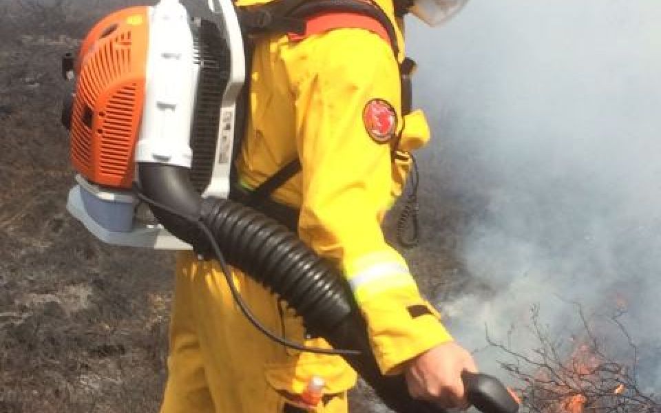 brandweerman in actie bij natuurbrand