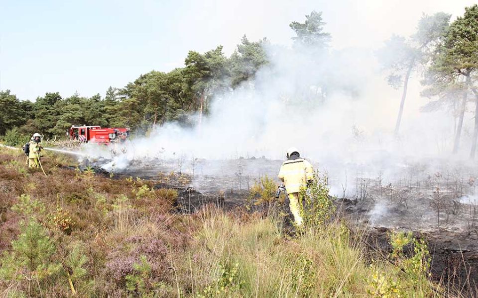 brandweermannen bij heidebrand