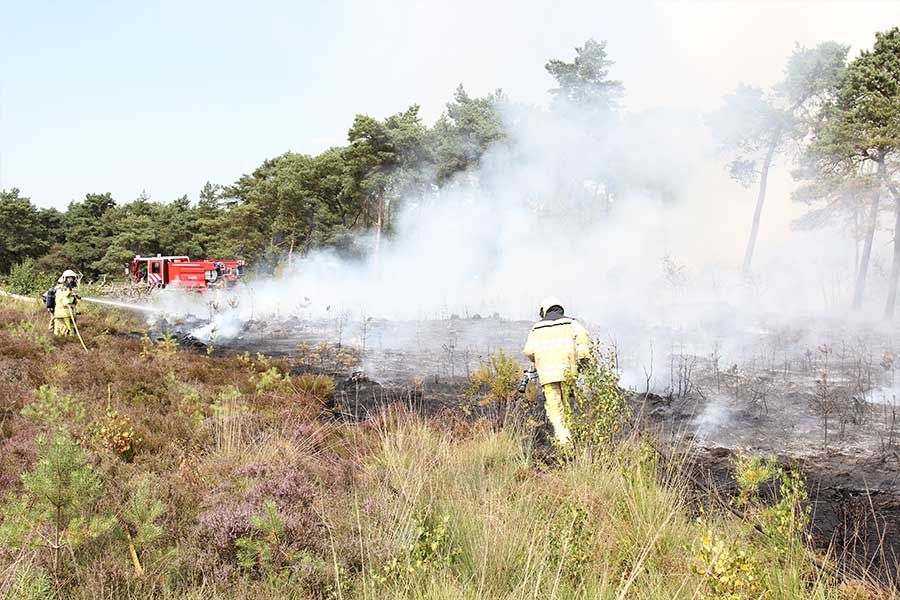 brandweermannen bij heidebrand